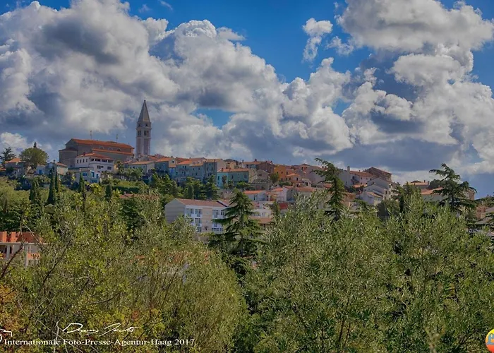 Superior Appartament By Interhome Daire